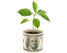 /assets/ProTips/thumbnail/iStock_000008964860XSmall2.jpg