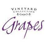 Vineyard Collection Lotion - Vineyard Collection Grapes Lotion - Vineyard Collection Skin Moisturize