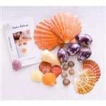 Hot Shells - Hot Shell Massage - Sea Shell Massage