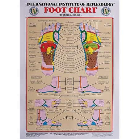 Int. Institute Of Reflexology Foot Chart 23 X 30"