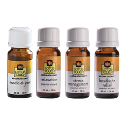 Lotus Touch Blended Oil Premium Pack