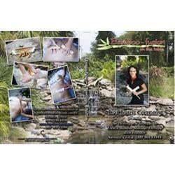 Bamboo Fusion Table Version Dvd