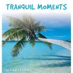 Global Journey Tranquil Moments CD