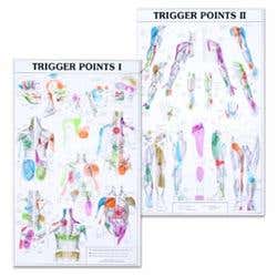 Trigger Point Charts Set(I &amp; II Laminated