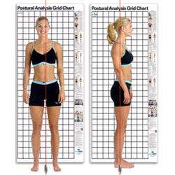 Kent Postural Analysis Grid Chart-Original
