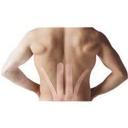 Spidertech Gentle, Low Back