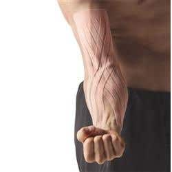 Spidertech Gentle, Large Lymphatic