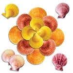 Sea Shells For Massage, Various Sz/Clr, Approx 30