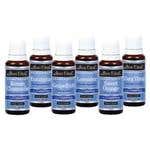 Bon Vital Aqua Essentials