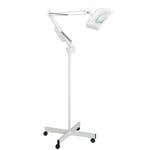 Paragon Magnifying Lamp With Rectangular Lens