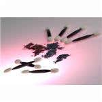 Disposable Double Ended Eye Applicator White 108Ct