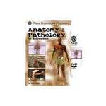 Anatomy And Pathology For Bodyworkers DVD by S. Reihl