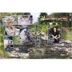 Bamboo Fusion Table Version Dvd