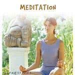 Global Journey Meditation CD