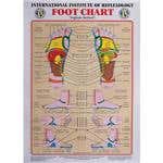 Int. Institute Of Reflexology Foot Chart 23 X 30"