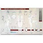 The Points And Meridians Of Acupuncture Chart