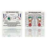 Mini Foot Reflexology Chart 4"X5"