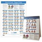 Kent Trigger Point Charts - Head & Neck