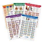 Kent Trigger Point Charts - Set Of 5