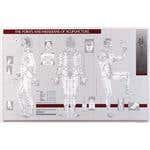 Points & Meridians Of Acupuncture Chart 23" X 36"