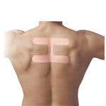 SpiderTech™ Gentle, Postural