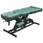 Eurotech Trademark Stationary Chiropractic Table