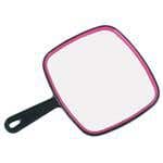 Mark IV Large Deluxe Picture Mirror