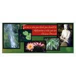 Eastern Peace Gift Certificate 25 Pack