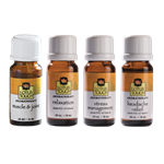 Lotus Touch Blended Oil Premium Pack