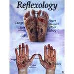 Reflexology Hand And Foot Reflex Chart 18X24 Inch
