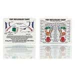 Mini Foot Reflexology Chart 4"X5"
