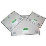 Xray Cassette &amp; Screen Green 7X17