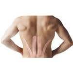 Spidertech Gentle, Low Back