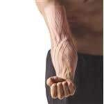 Spidertech Gentle, Large Lymphatic