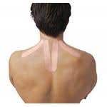 Spidertech Gentle, Neck