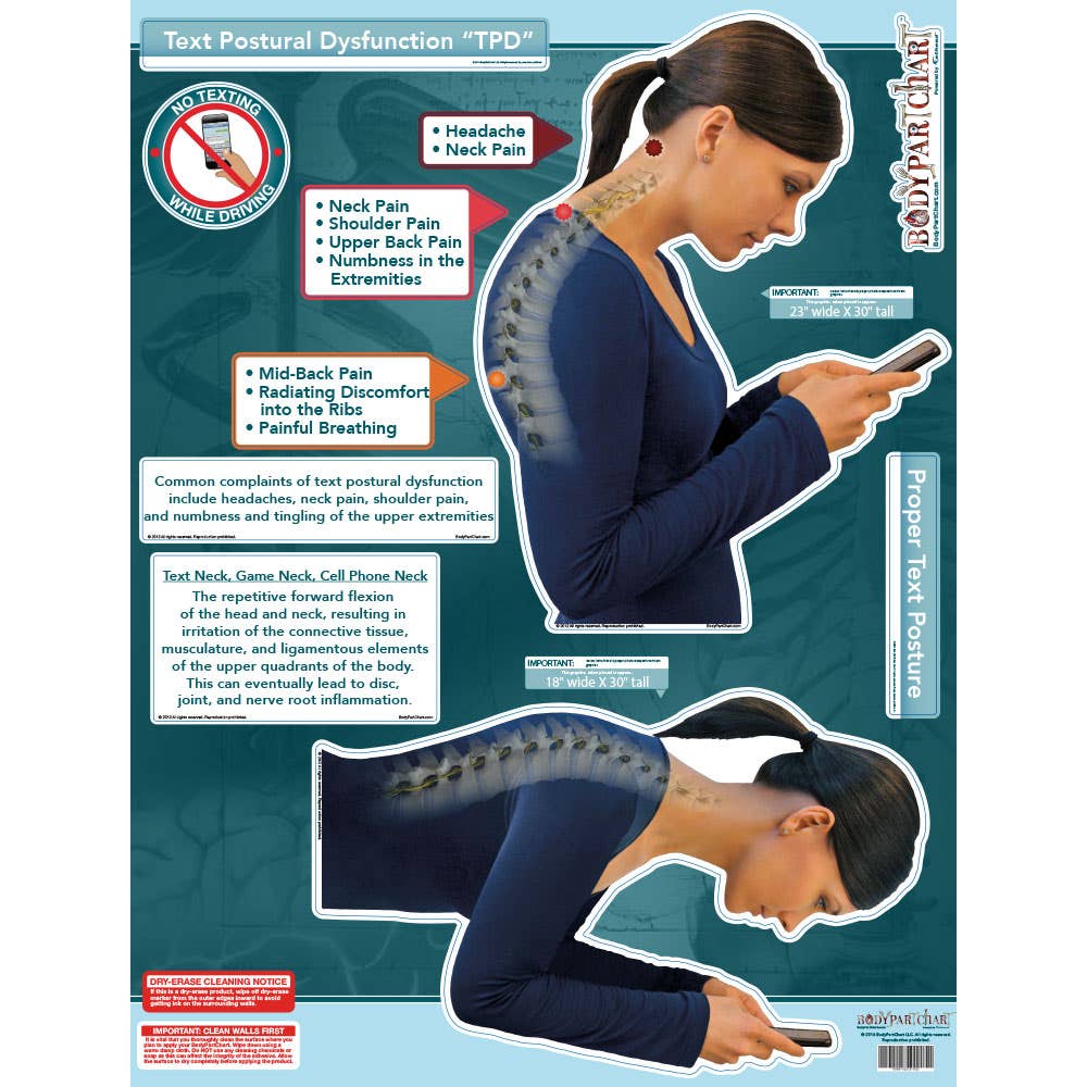 BodyPartChart™ Text Postural Dysfunction (TPD) 39” x 51”