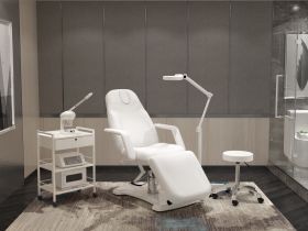 Silverfox Facial Chair, 2206A White
