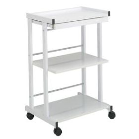Paragon® Facial Cart