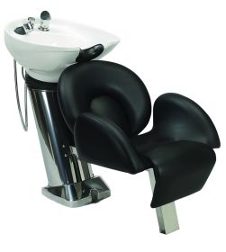 Paragon® Shampoo Backwash System