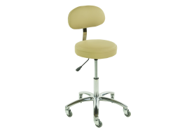 TouchAmerica ProStool with Back - Standard Height Option
