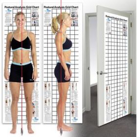 Kent Space Saver Postural Analysis Grid Chart - Door Mount
