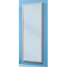 Wall Mount Posture Mirror