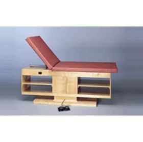 Professional Hi-Low Treatment Table W/ Adj Backres
