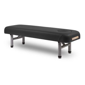 Earthlite Yosemite Shiatsu Table