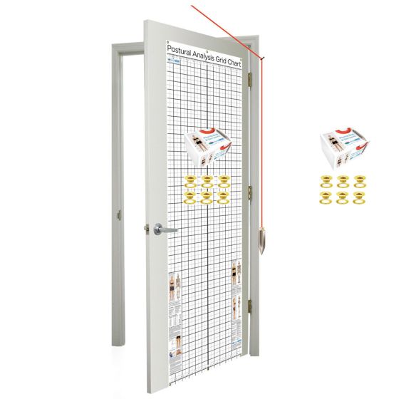 Kent Health Posture Analysis Grid Chart &ndash; Space Saver with Grommets and Plumb Bob Kit