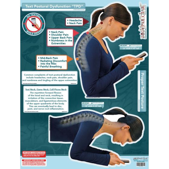 BodyPartChart™ Text Postural Dysfunction (TPD) 39” x 51”