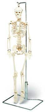 Mr. Thifty With Nerves