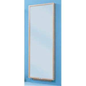 Wall Mount Posture Mirror 412$