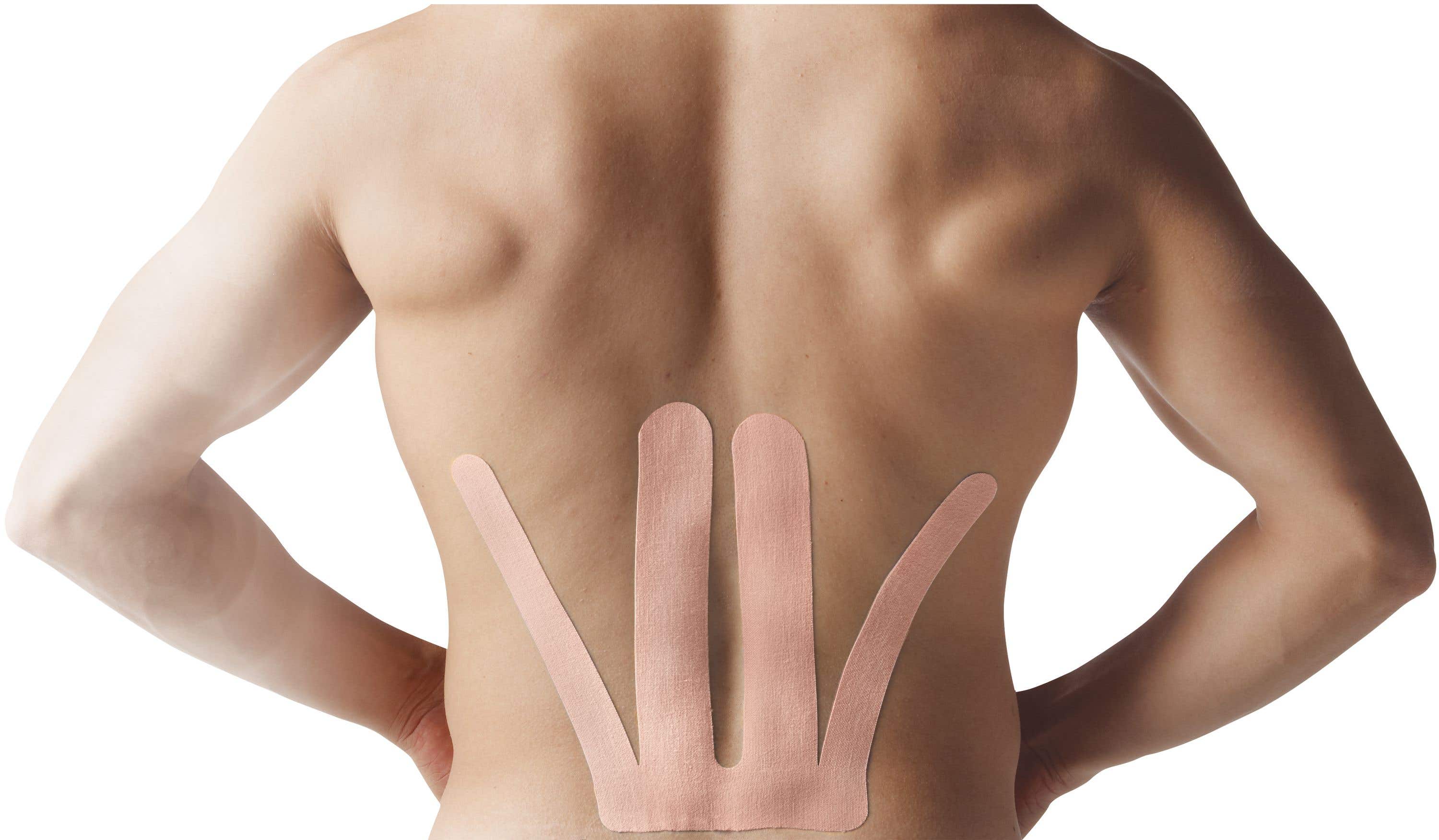 SpidertechGentle,LowBack