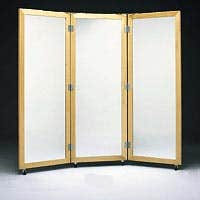 3-WayPostureMirrorW/Casters